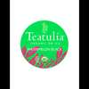 Teatulia Organic Teas Watermelon Black Iced Tea, PK24 IT-WMBK-24